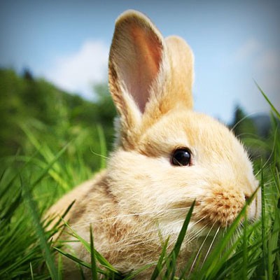 Ha figyelünk, megtaláljük a lehetőséget!